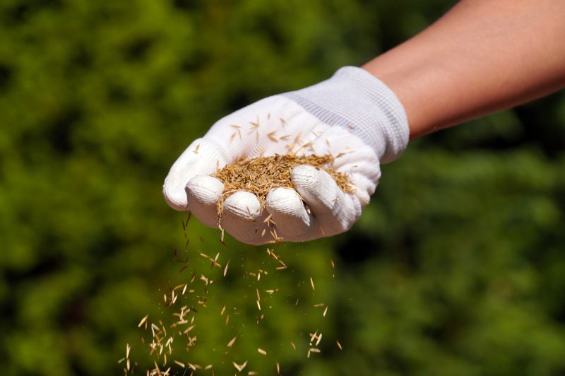Bermuda Grass Seeding in Honolulu, HI