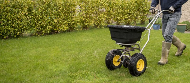 Effective Lawn Seeding Strategies — Cost of Lawn Seeding