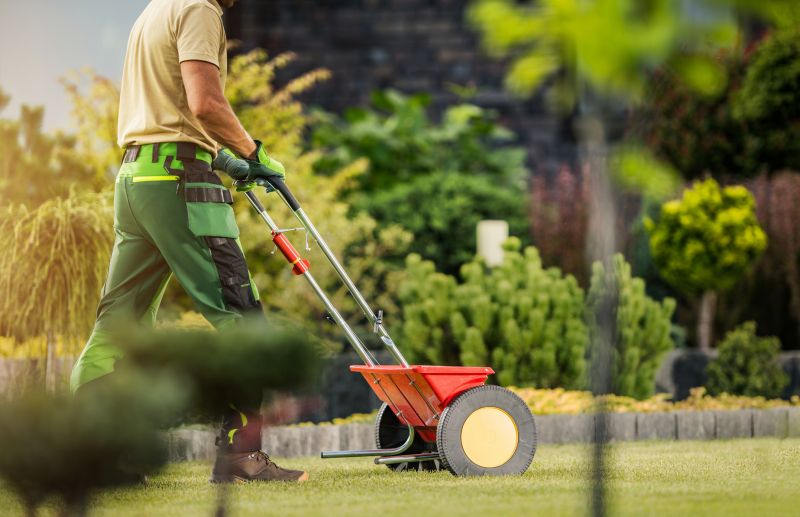 Effective Lawn Seeding Strategies — Cost of Lawn Seeding