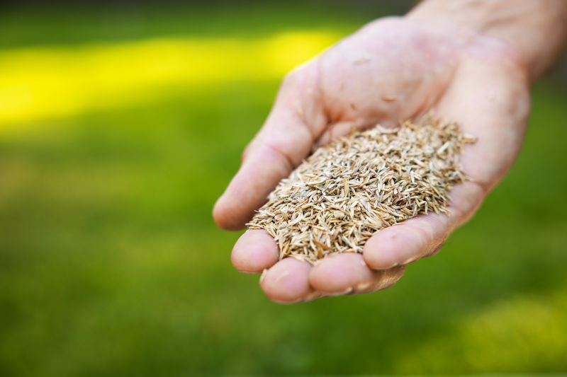 Grass Seed Installation in Honolulu, HI