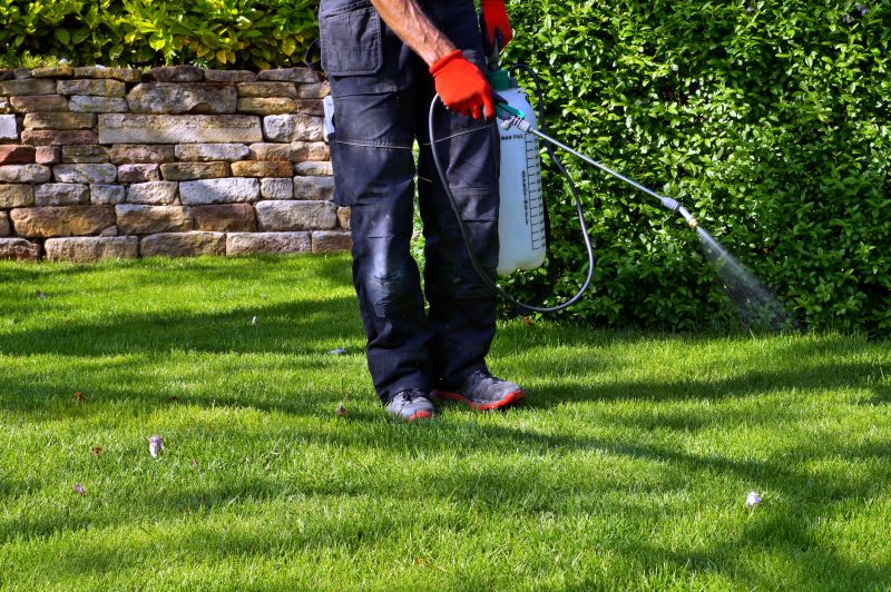 Lawn Weed Treatment in Honolulu, HI