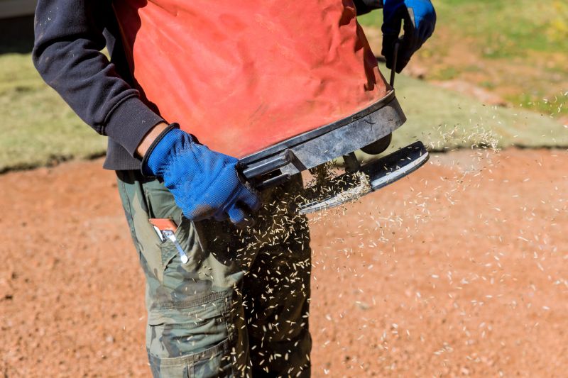 What To Expect During A Professional Seeding Service