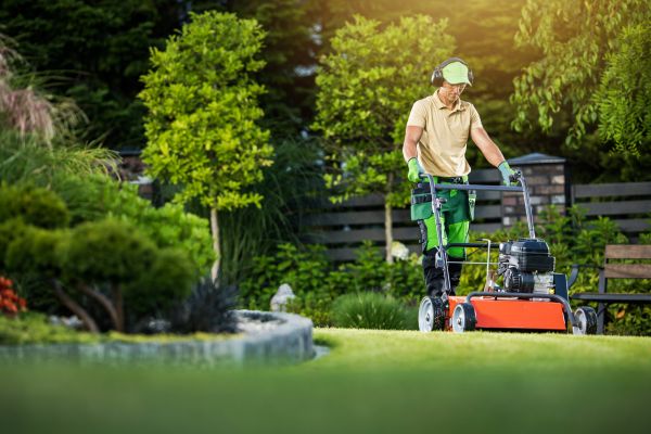 Lawn Care Maintenance - Lawn Care Maintenance Fairfax, Virginia