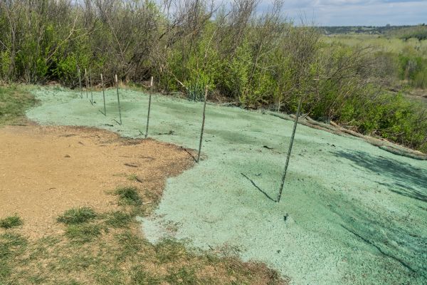 Hydro Lawn Seeding - Hydro Lawn Seeding Fairfax, Virginia